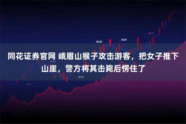 同花证券官网 峨眉山猴子攻击游客，把女子推下山崖，警方将其击毙后愣住了